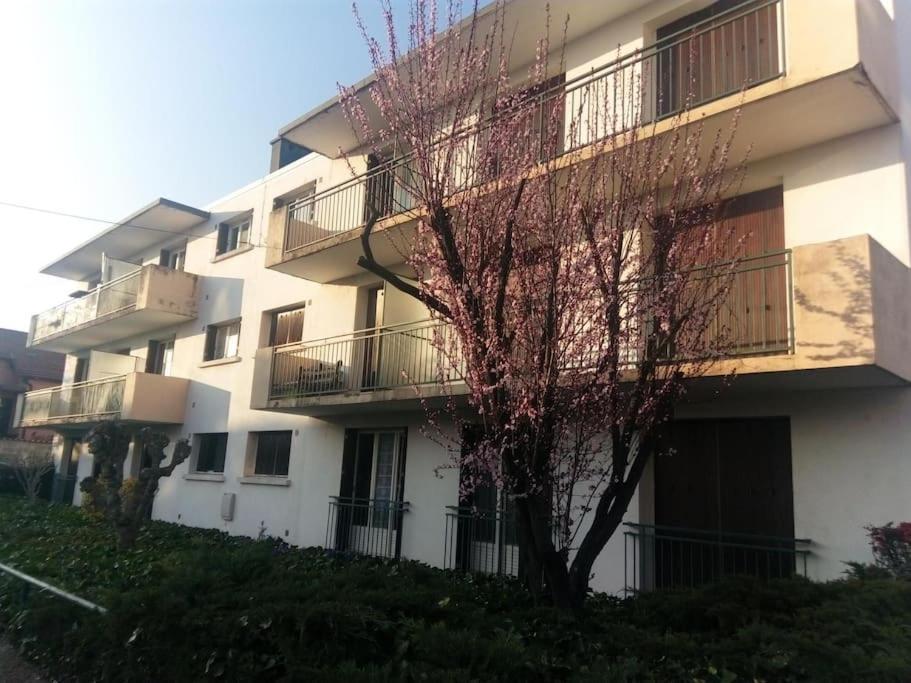 Appartement Avec Balcon Et Parking Prive Roanne Exterior foto